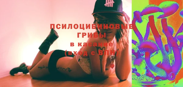 индика Пересвет