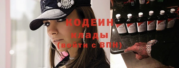 индика Пересвет