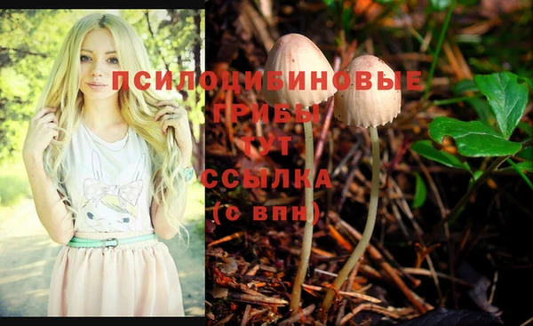 индика Пересвет