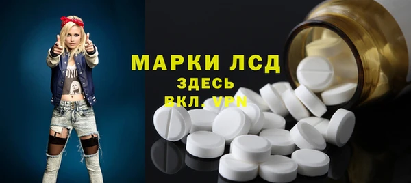 индика Пересвет