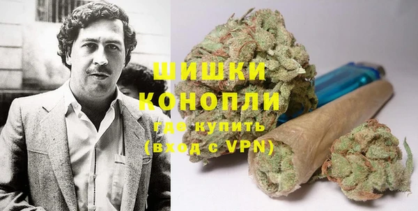индика Пересвет