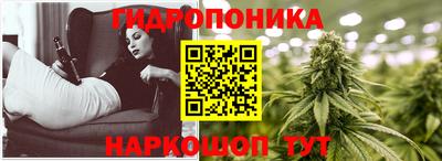 соль ск Дубна