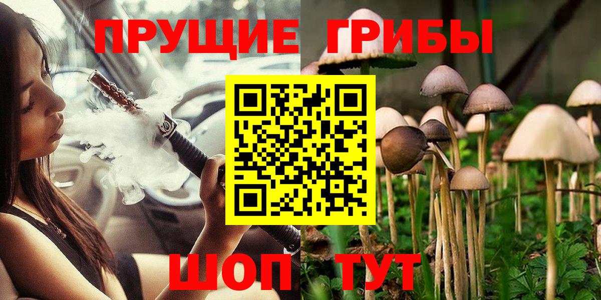 Псилоцибиновые грибы Cubensis Ртищево