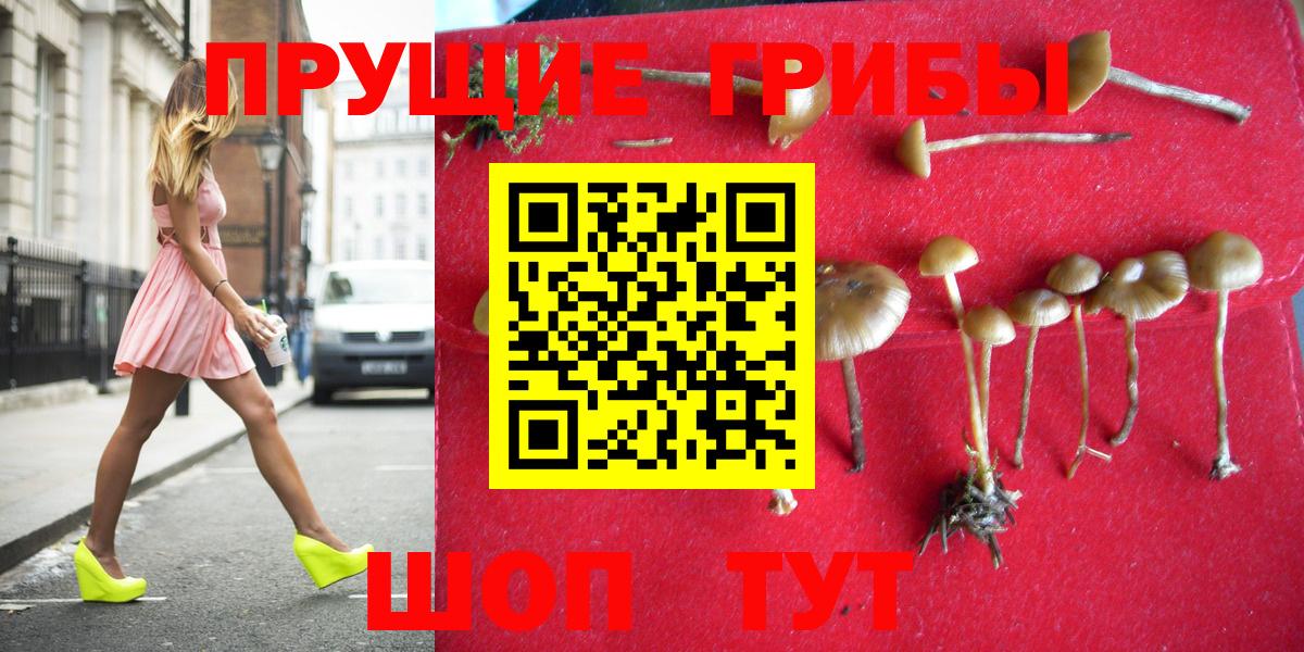 Псилоцибиновые грибы мухоморы  даркнет сайт  Ртищево 