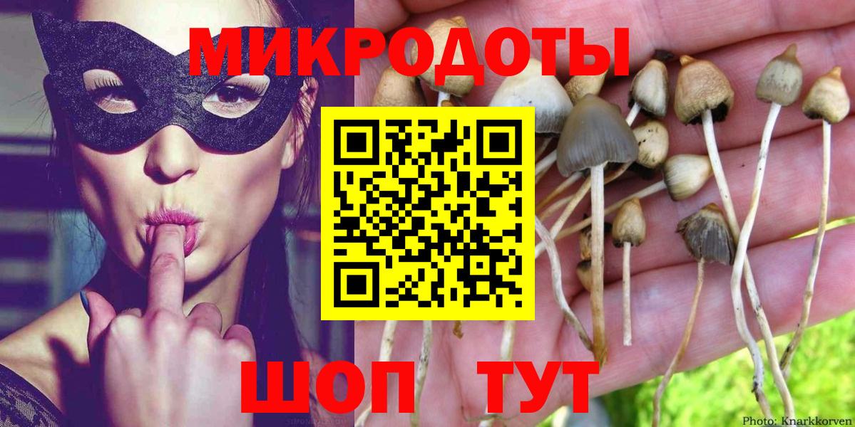 Альфа ПВП Ртищево