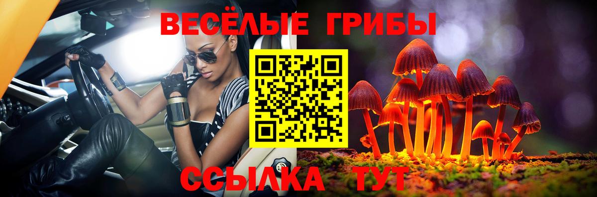 Псилоцибиновые грибы Cubensis  Вход с VPN  Галлюциногенные грибы мухоморы  Ртищево 